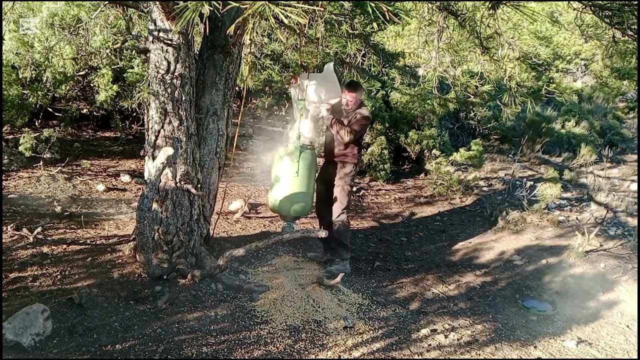 CORTIJER@S, seguimos manteniendo a los bichis 🐗con un fallo técnico pero mu aprovechado por ellos 💪💚