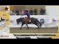 Derby 2024  giuseppe prevosti  gunners princess 66 score 222