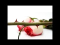 Poison - Every Rose Has It Thorn (Lyrics)