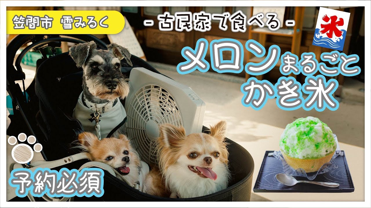 予約必須・大人気】古民家かき氷屋さん「雪みるく」！青果店の巨大