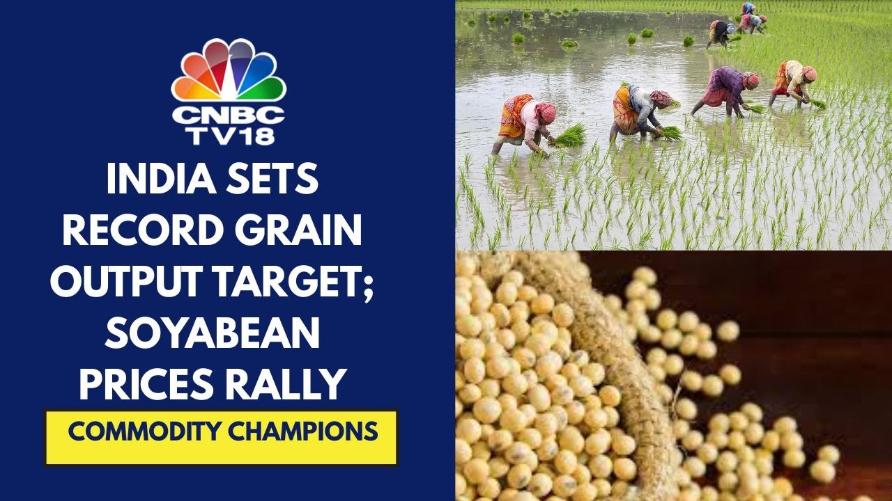 India Targets Record Grain Output In 2025-2026 Crop Yr; Soyabean Prices ...