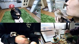 動物 DAISUKI DAISUKI クラブ！！