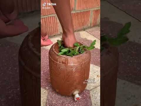 طريقه تحضير العبيله