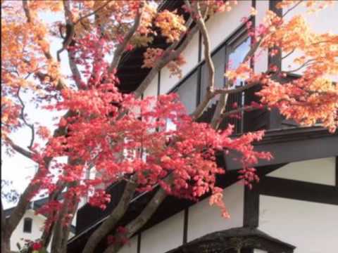 新緑の角館