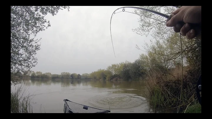 Carp On The Fly  HD 1080p