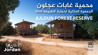 محمية غابات عجلون - الأردن Ajloun Forest Reserve - Jordan