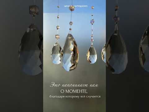 Момент завораживает #завораживает