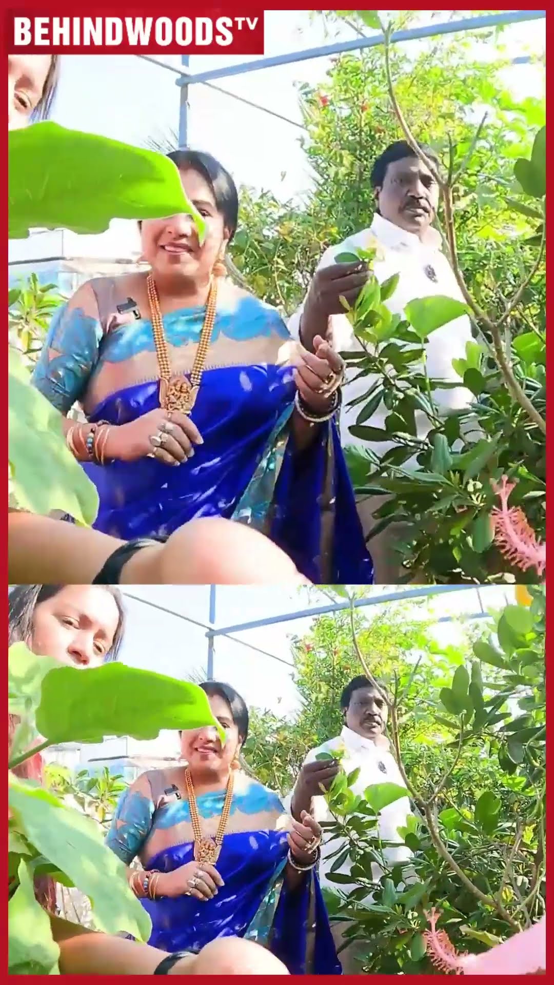 'சாமி பூஜைக்கு பூ வெளிய வாங்க மாட்டேன்..' ?Anitha Kuppusamy Garden Tour Visit ?