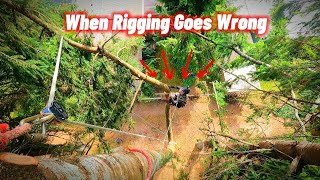 Basic Tree Rigging Can Still Go Wrong | Double Fir Removal