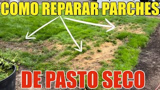 Como Reparar Parches De Pasto Seco o Muerto En La Yarda Para Que Vuelva Crecer Verde Hazlo Tu Mismo