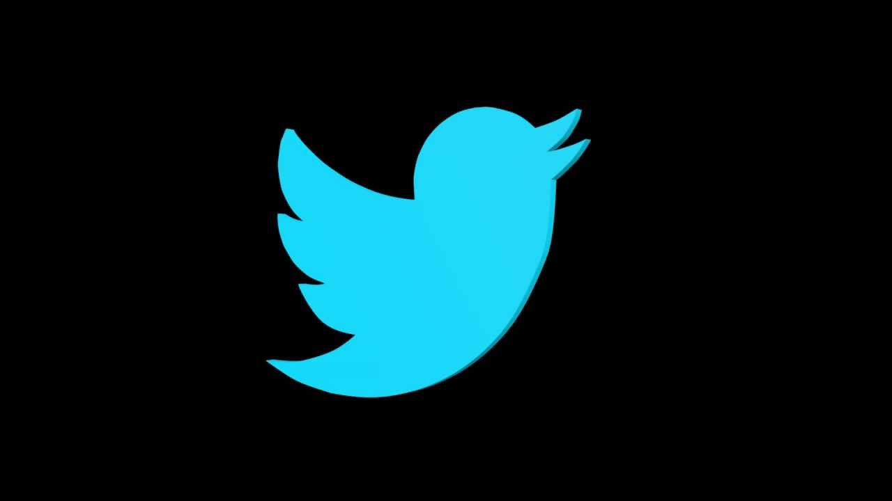 3D Twitter Bird Logo Rotation (black background) - FreeHDGreenscreen