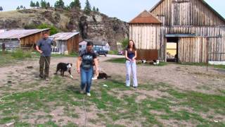 Ранчо. серия 2 (The ranch, episode 2) Ранчо. серия 2 (The ranch, episode 2)