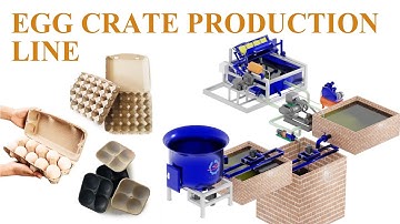 From Pulp to Protection: The Journey of Our Egg Crate Making Line #egg #eggtray #eggcarton #paper