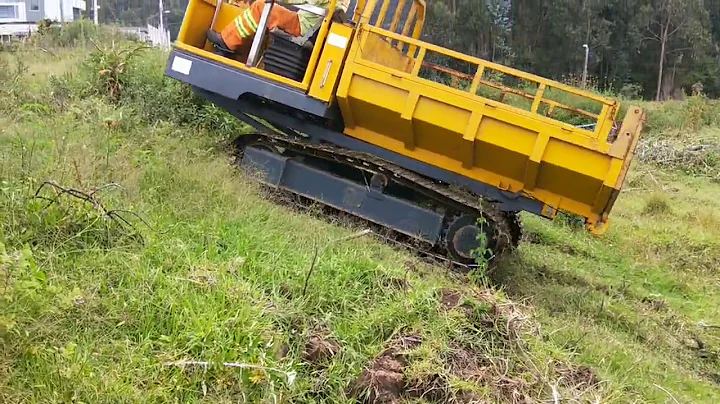 3 Ton mini dumper crawler dump truck from China for sale