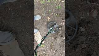 old ring #metaldetecting #treasuresearch #metaldetector #treasuretrove #minelab #treasure