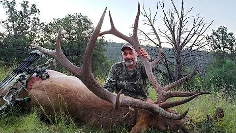 2021 Early Season Archery Elk Hunting | New Mexico Bowhunt