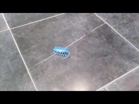 Catchy Mouse (simple