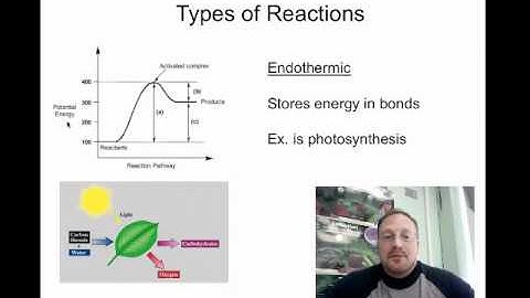 Thermodynamics Energy and Organisms Screencast Session 2.m4v