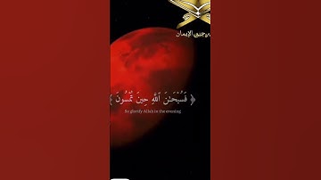 سورة الروم: آية 14. للقارئ #الشيخ #ياسر_الدوسري #القرآن #القرآن_الكريم #ياسر #القران_الكريم