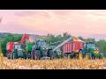 Sklizeň a šrotování kukuřice | Redu Charolais | Claas Lexion 6800 | John Deere 8100 2x 6R, | Fendt