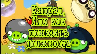 Всё о Капрале: дизайн, характер, появления - Факты Angry Birds