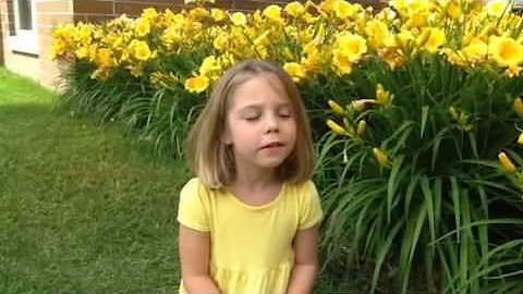 Mykas lemonade stand