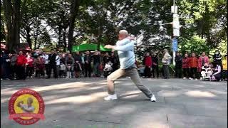 77-year-old Dragon Style Kung Fu Grandmaster Ho Wun-san 何焕新 – Grabbing Five Forms Set (Laap Ng Ying)