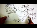 Petri net incidence matrix