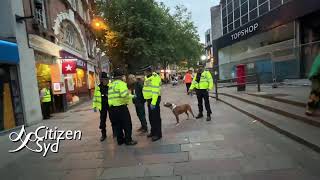 Lord Mayor’s Procession | Norwich