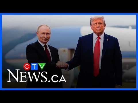 Putin ‘seems to have control over Trump’ as continued attacks undermine ceasefire