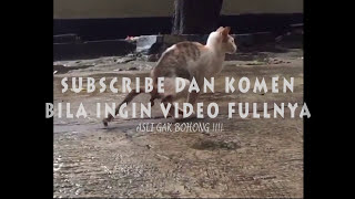 VIRAL !!! Heboh Skandal Video Mahasiswi Universitas Ternama di Indonesia Hanna Anisa   LINK !!!