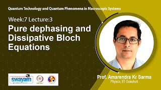 Lec 28: Pure dephasing and Dissipative Bloch Equations