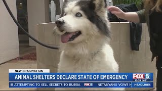 San Diego Humane Society declares state of emergency