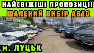 ГАРЯЧІ пропозиції СВІЖОПРИГНАНИХ авто❗️Огляд цін на НАЙБІЛЬШОМУ АвтоБазарі в Україні - м. ЛУЦЬК❗️