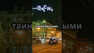 ПМЭФ: Город на паузе глазами петербуржца