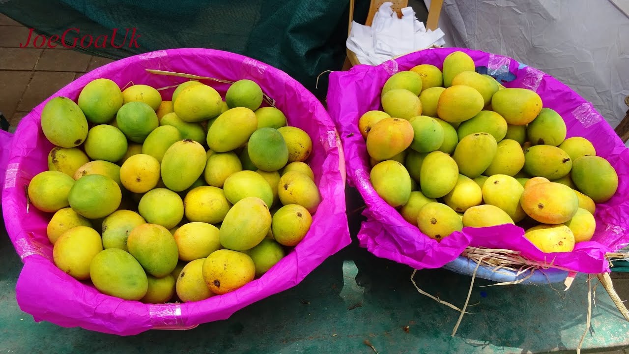 Konkan Fruit Fest 2016 YouTube