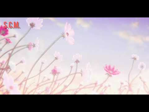 Mozart Réquiem Slowed 