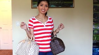 Louis Vuitton Speedy 30 Damier Ebene vs Damier Azur - Jessica's View