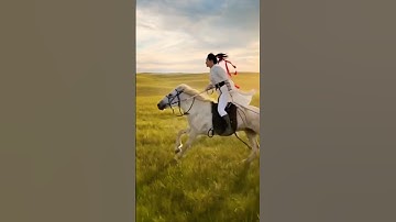 Cưỡi ngựa trên thảo nguyên #horse  #shorts