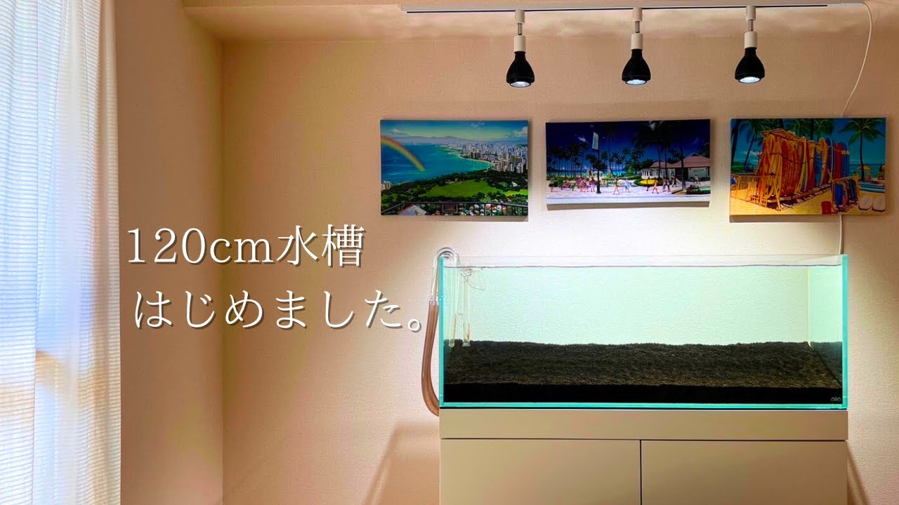 アクアリウム】リビングに120cm水槽がやってきました。 - YouTube アクアリウム】リビングに120cm水槽がやってきました。 - YouTube