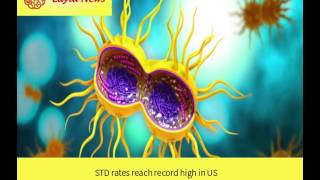 STD rates reach record high in US |  By : CNN
