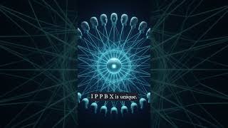 Watch an IPPBX Call Become a Transcript and AI Summary