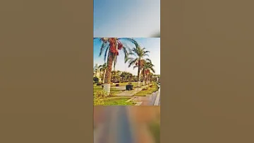 رحلة بورسعيد كل عضو حاجز كرسى فى الباص له كرسى تحت الشمسية الرحلة 
