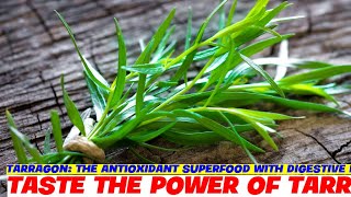 Tarragon: The Antioxidant Superfood With Digestive Benefits