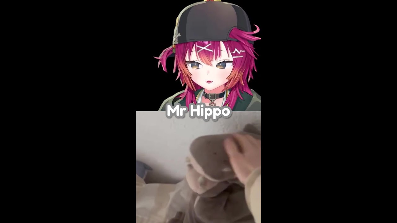 Do NOT trust Mr. Hippo 🦛🚩