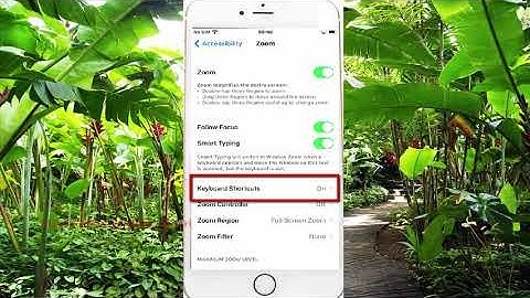 iPhone 7 : How to enable or disable move zoom window Keyboard shortcuts
