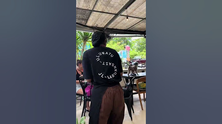 Un mono me roba el desayuno 😠 | Vivir en Bali