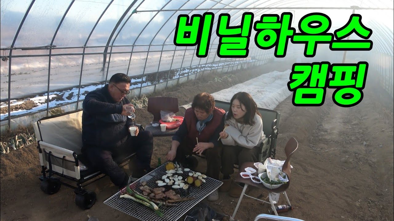 한파에 비닐하우스에서 캠핑을 한다면?
