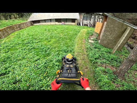 My Little Brother Mowing Tall Grass Like a Pro! | Satisfying Lawn Care POV