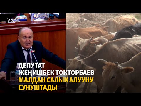 Video: Суткалыкка салык салынабы?